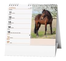 Stolní kalendář - IDEÁL - Koně (1)