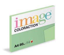 Kopírovací papír Coloraction A4 80g. FOREST - zelená pastel (100 listů)
