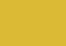 APLI Barevný papír 170 g, A2+ (50 x 65 cm), 25 listů - zlatě žlutý