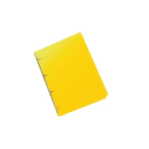 KARTON P+P Pořadač A5/20 PP 4kroužkový, hřbet 25 mm, průhledný - varianty (2)