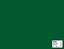 APLI Barevný papír 170 g, A2+ (50 x 65 cm), 25 listů - tmavě zelený